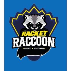 BADMINTON SAINT GERMAIN BLAVOZY