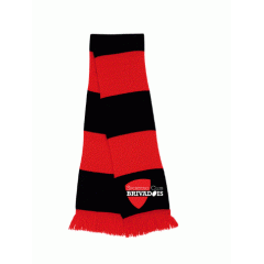 ECHARPE BICOLORE R146X / SCB