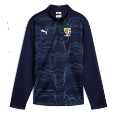 SWEAT 1/2 ZIP TEAMGOAL GRAPHIC SR  / FC PONT SALOMON