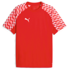 MAILLOT TEAMLIGA 26 JR / LAVOUTE CHILHAC