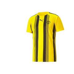 PUMA - Maillot Teamliga Stripped Sr / FCSSR