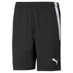 TeamLIGA shorts JR