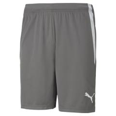 TeamLIGA shorts SR