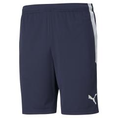 TeamLIGA training shorts SR marine