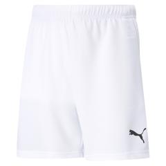 TeamRISE shorts JR