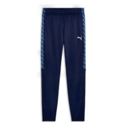 PANT TRAINING TEAMLIGA 26 SR / FCPR