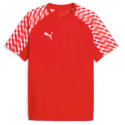 MAILLOT TEAMLIGA 26 SR / LAVOUTE CHILHAC