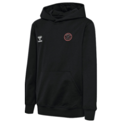 SWEAT CAPUCHE GO 2.0 LADY / HAND SAINT JULIEN CHAPTEUIL