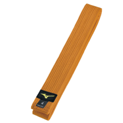 CEINTURE ORANGE