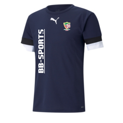 MAILLOT TEAMGOAL JR / FC PONT SALOMON