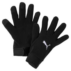 GANT TEAMLIGA WINTER / LAVOUTE CHILHAC