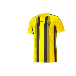 PUMA - Maillot Teamliga Stripped Sr / FCSSR