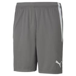 TeamLIGA shorts SR