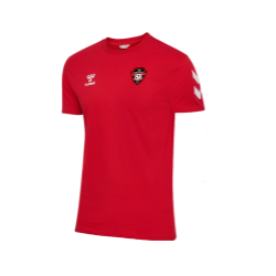 T SHIRT COTON GO 2.0 CHEVRON LADY / SAINT PRIVAT D'ALLIER