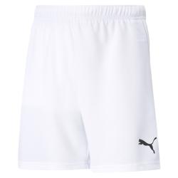 TeamRISE shorts JR